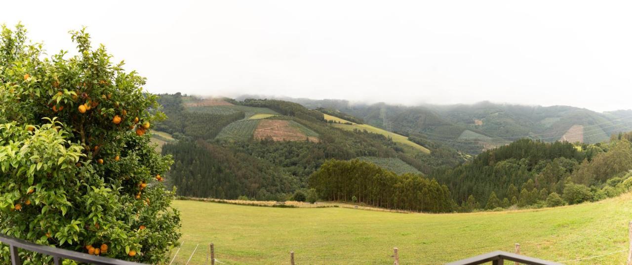 Finca Eiras Lugo Εξωτερικό φωτογραφία